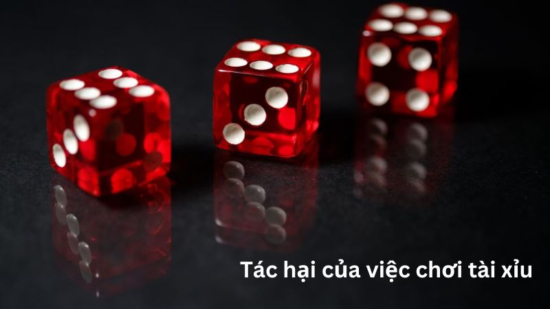 Tác hại của việc chơi tài xỉu – hậu quả đáng sợ  